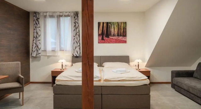 Номер Standard Wellness Hotel Ondrášův dvůr