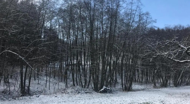 Коттедж Ferienhaus Dreiländereck