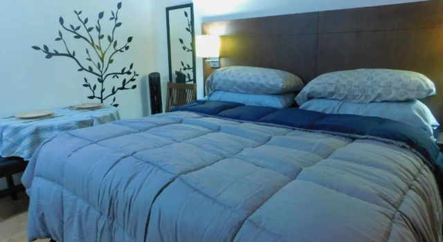 Modern Studio Loft Apt King Bed 10 min frm airport