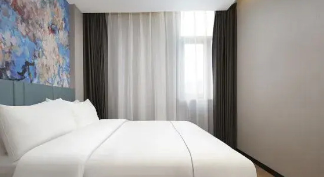 Люкс Magnolia Hotel (Nanjing Software Guke Chuangcheng Niushoushan Branch)
