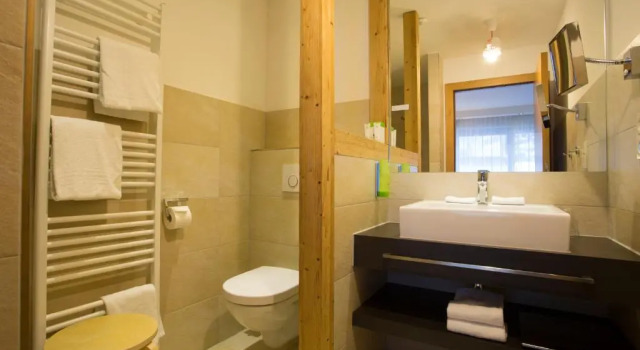 Двухместный номер Standard с балконом Hotel Ritzlerhof - Panorama und Spa