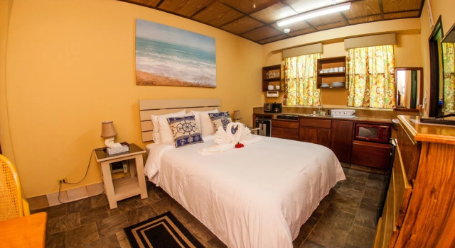 Hummingbird Suites Efficiency Studio