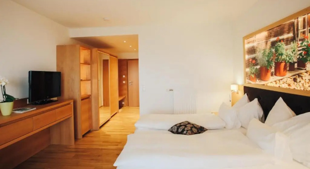 Двухместный номер Standard с балконом и с видом на озеро Hotel SeeRose