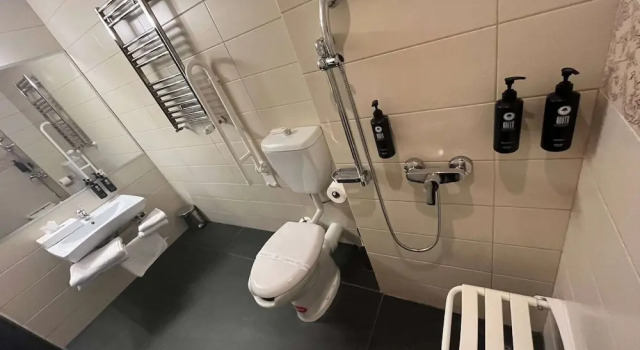 Двухместный номер Deluxe Wyndham Cluj