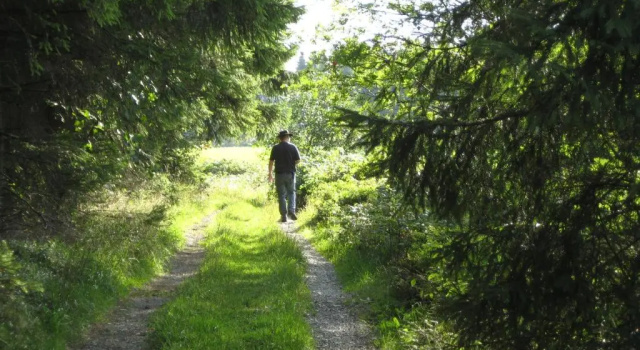 Ferienwohnung Heger, Забронировать Отель СПА-отели Franconian Forest, SPA-услуги