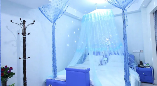 Двухместный номер Business BORRMAN Hotel