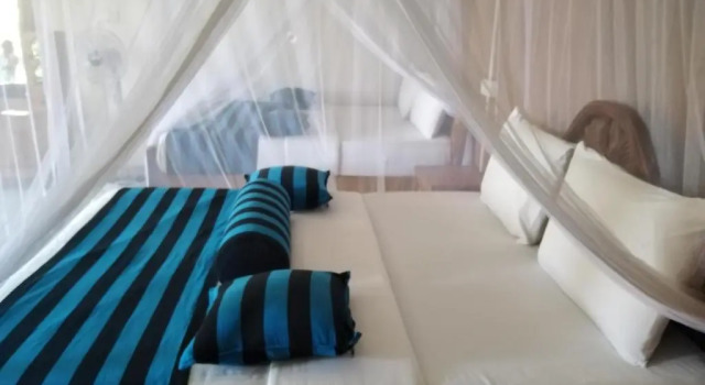 Номер Standard Blue Ribbon Homestay