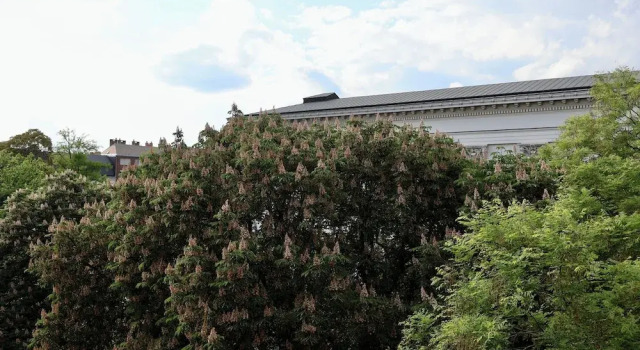Люкс Superior с видом на парк Harmonia Palace - Historic Residence