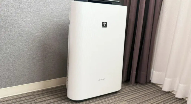 Двухместный семейный номер Standard Hotel Lagent Plaza Hakodate Hokuto