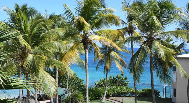 Résidence La Vieille Tour - ZENITUDE - Grand studio vue mer accès plage privative