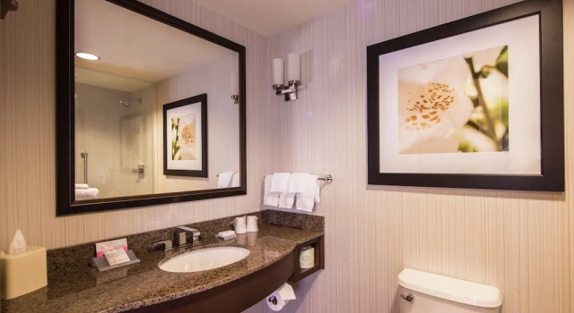 Люкс Hilton Garden Inn Uniontown