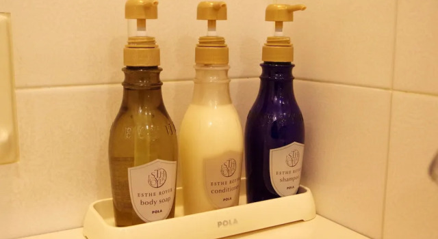 Двухместный номер Deluxe Ginza Creston