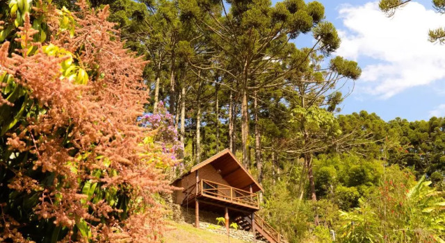 Люкс Chalés Araucária e Manacá