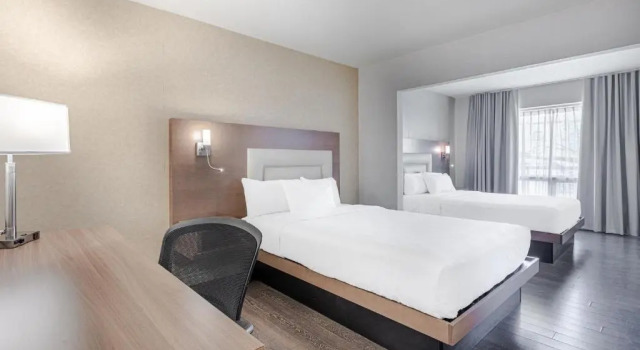 Четырёхместный номер Standard Hotel Universel