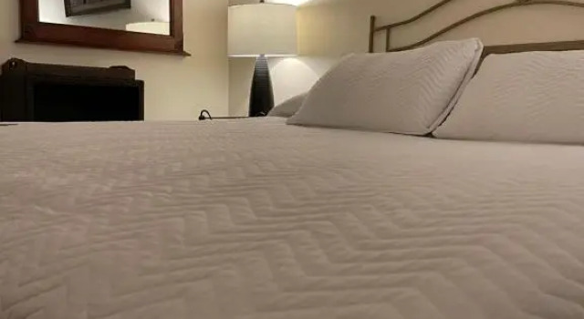 Номер Standard Boutique Hotel Belgica