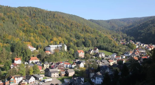 Номер Standard Hotel SchwarzaBurg