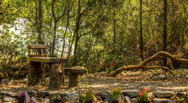 The Camphor Tree - Pura Stays, Rezervovat Hotel Pangot Uttarakhand