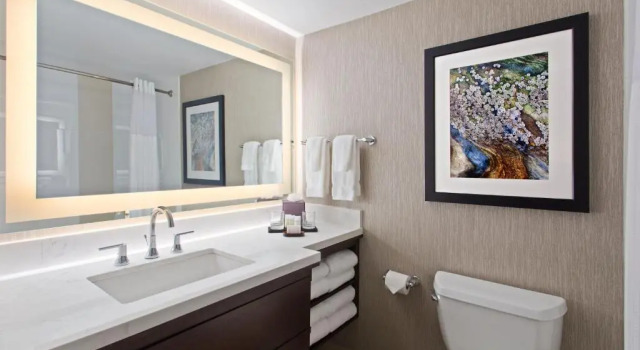 Четырёхместный люкс c 1 комнатой Embassy Suites by Hilton Orlando International Drive Convention Center