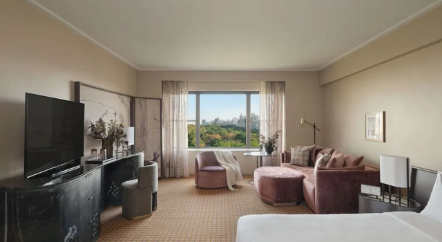 Двухместная Студио Люкс с панорамным видом на парк Park Lane New York