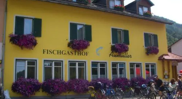 Fischgasthof Aumüller, Book Hotel Haibach ob der Donau Upper Austria