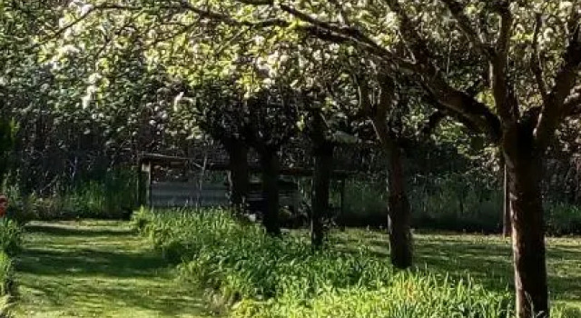 Au jardin de Grand-Père