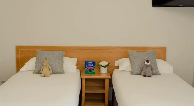 Трёхместный номер Standard Waterford Viking Hotel
