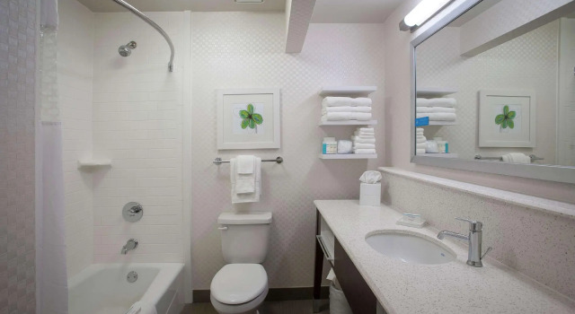 Четырёхместный номер Standard Hampton Inn & Suites New Orleans/Elmwood