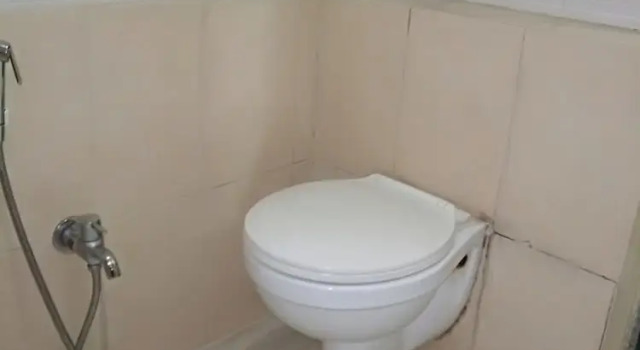 Люкс Hotel Rajshree Lodging