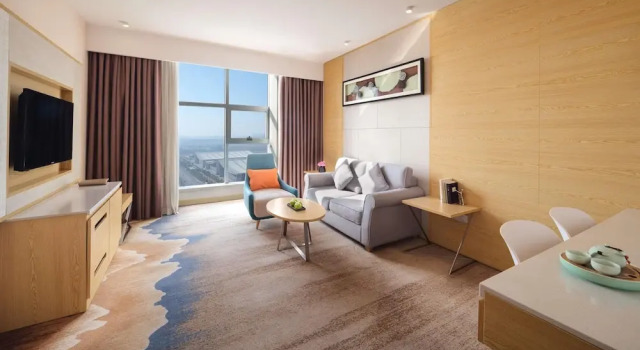 Двухместный люкс Standard с видом на город ibis Styles Changsha Intl Exhibition Ctr