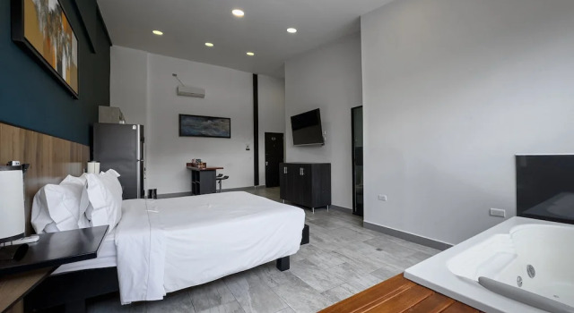 Номер Standard c 1 комнатой Provenza Lofts