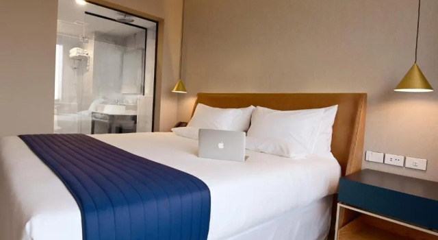 Одноместный номер Executive Novotel Santa Cruz De La Sierra