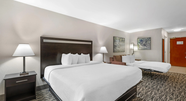 Двухместный люкс Best Western Plus McDonough Inn & Suites