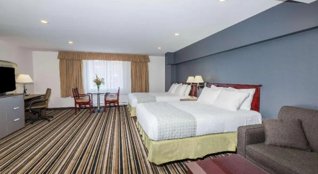 Номер Standard Super 8 Downtown Toronto