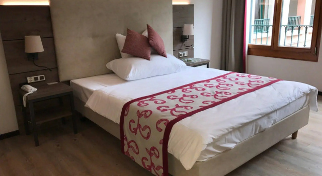 Hôtel des Vignes