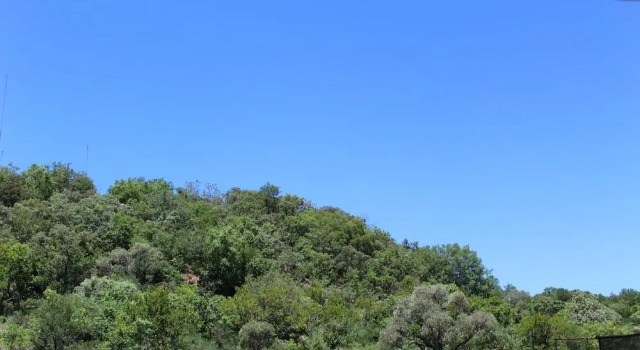 Номер Standard Tshukudu Bush Lodge