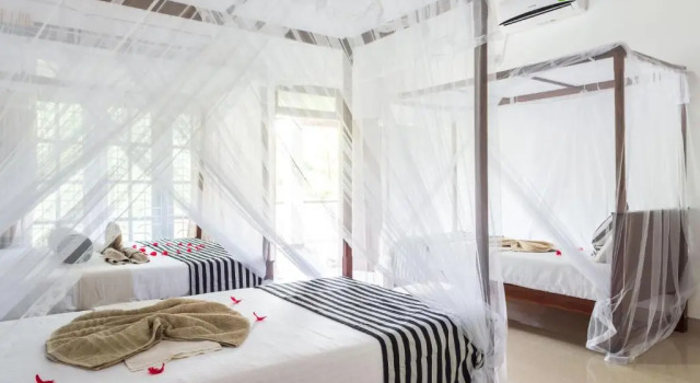 Семейный номер Standard Sigiriya Sun Shine Villa