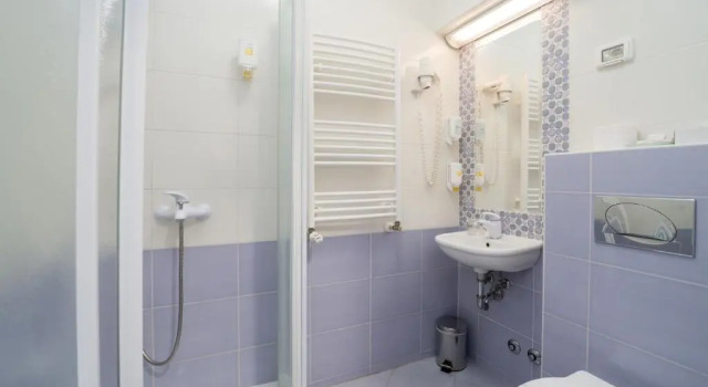 Номер Standard Hotel Zlatna Vala