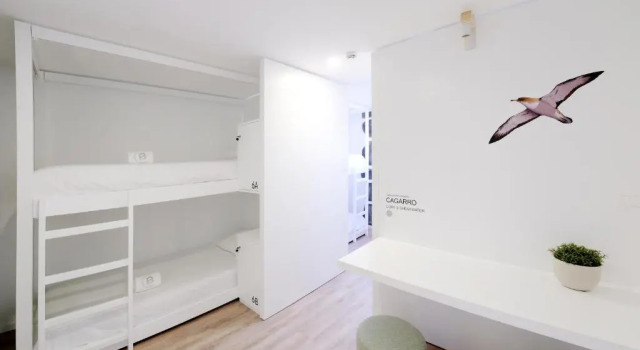 Boa Nova Hostel, Rezerwuj Hostel Tanie hotele w Graciosa