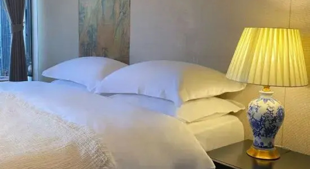 Люкс JinHuangQi Homestay (Huayan Temple in Datong Ancient City)