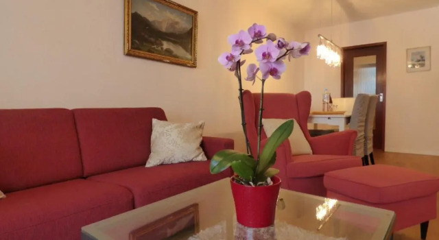 Апартаменты c 1 комнатой Colibri Apartment