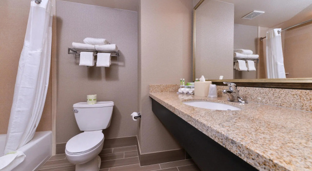 Номер Standard Holiday Inn Express & Suites Indio - Coachella Valley by IHG