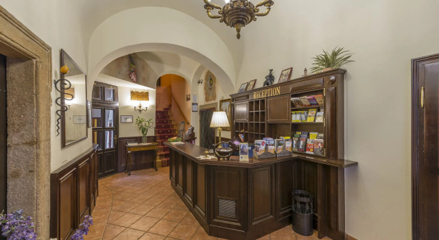 Hotel Cerny Slon