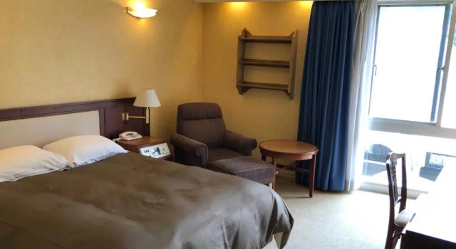 Двухместный номер Standard Art Hotel Narita