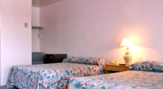 Четырёхместный номер Standard Motel Bellevue