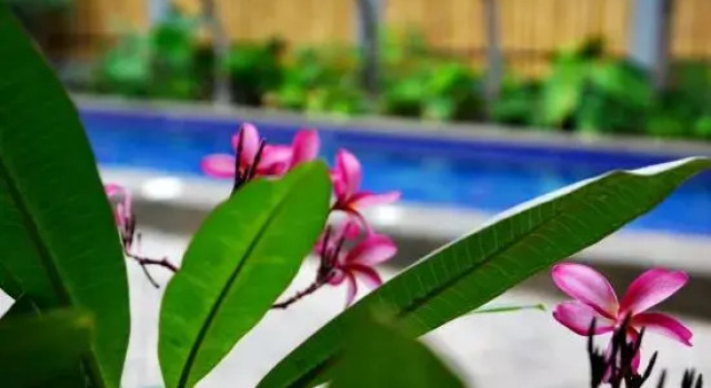 Двухместный люкс с видом на сад Mayfair Garden Resort