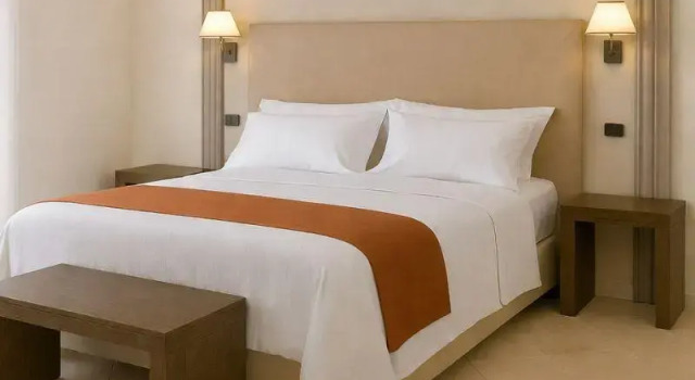 Standard- dobbelt værelse med udsigt over poolen Delfino Beach Hotel