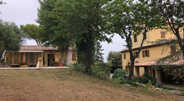 Klassisk  værelse B&B La Foresteria