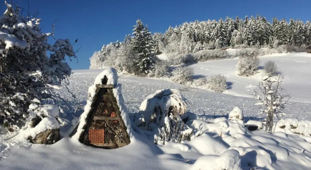 Gästehaus Huber, Prenota Hotel Hotel a Waldviertel con colazione, Colazione