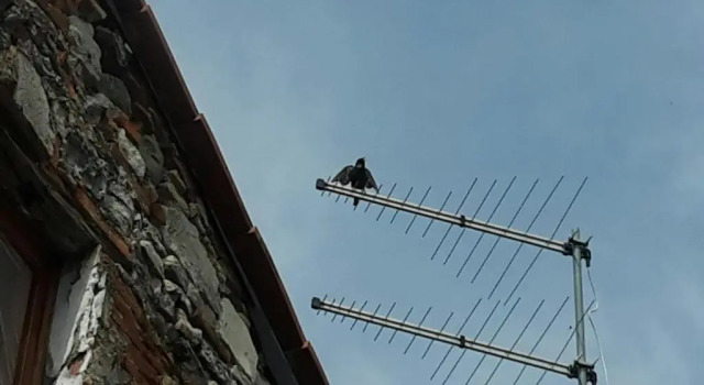 Camera doppia Superior Gessys