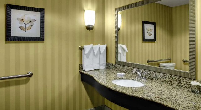 Номер Standard Hilton Garden Inn Pittsburgh/Cranberry